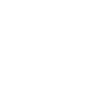 Digital South